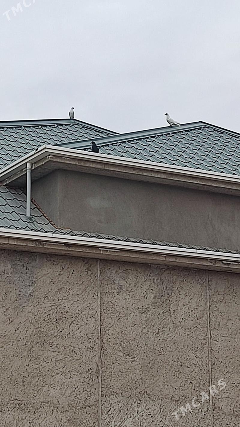 kepderi - Балканабат - img 4