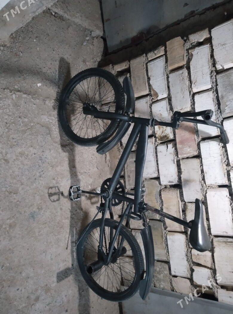 Tigir Duga - Büzmeýin - img 2