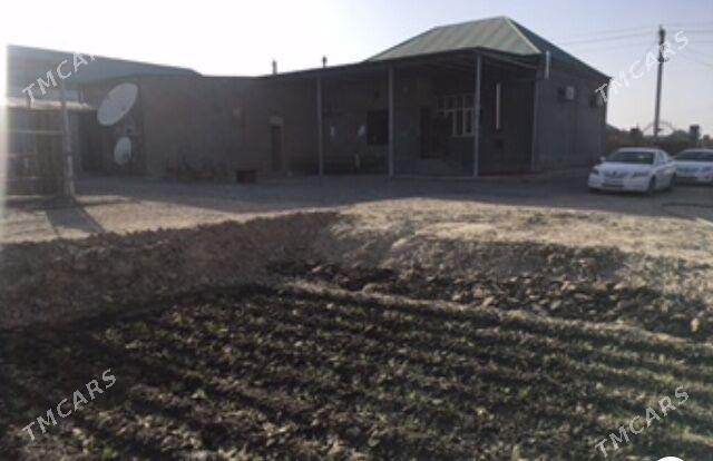 ПЛОН ЖАЙ+25 СОТ - Gökdepe - img 5