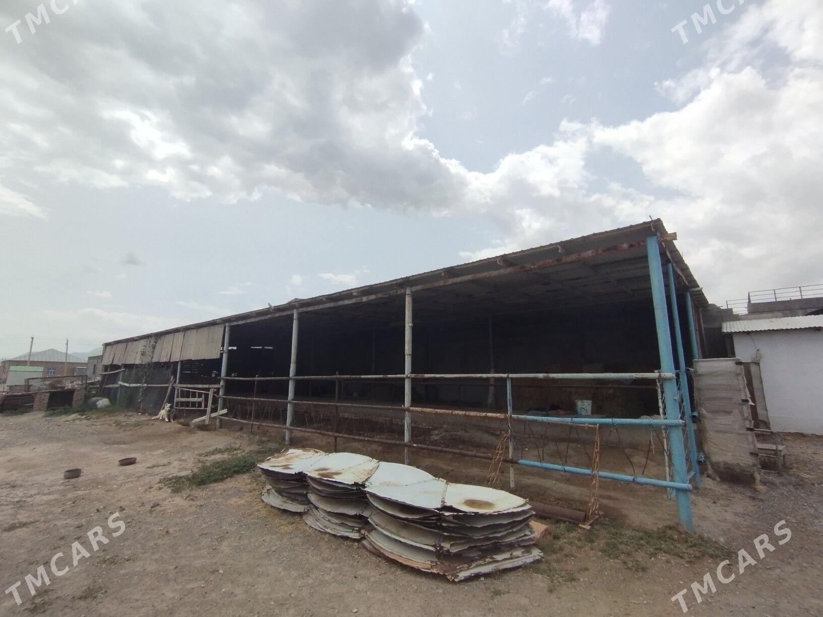 ПЛОН ЖАЙ+25 СОТ - Gökdepe - img 7