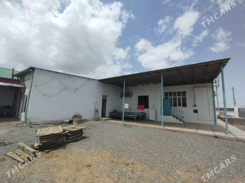 ПЛОН ЖАЙ+25 СОТ - Gökdepe - img 6