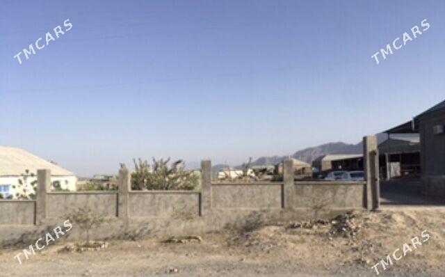 ПЛОН ЖАЙ+25 СОТ - Gökdepe - img 4