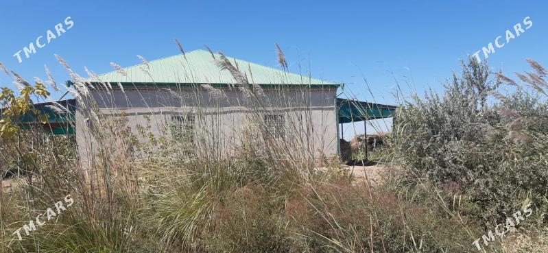 mellek uçaska - Görogly (Tagta) - img 3