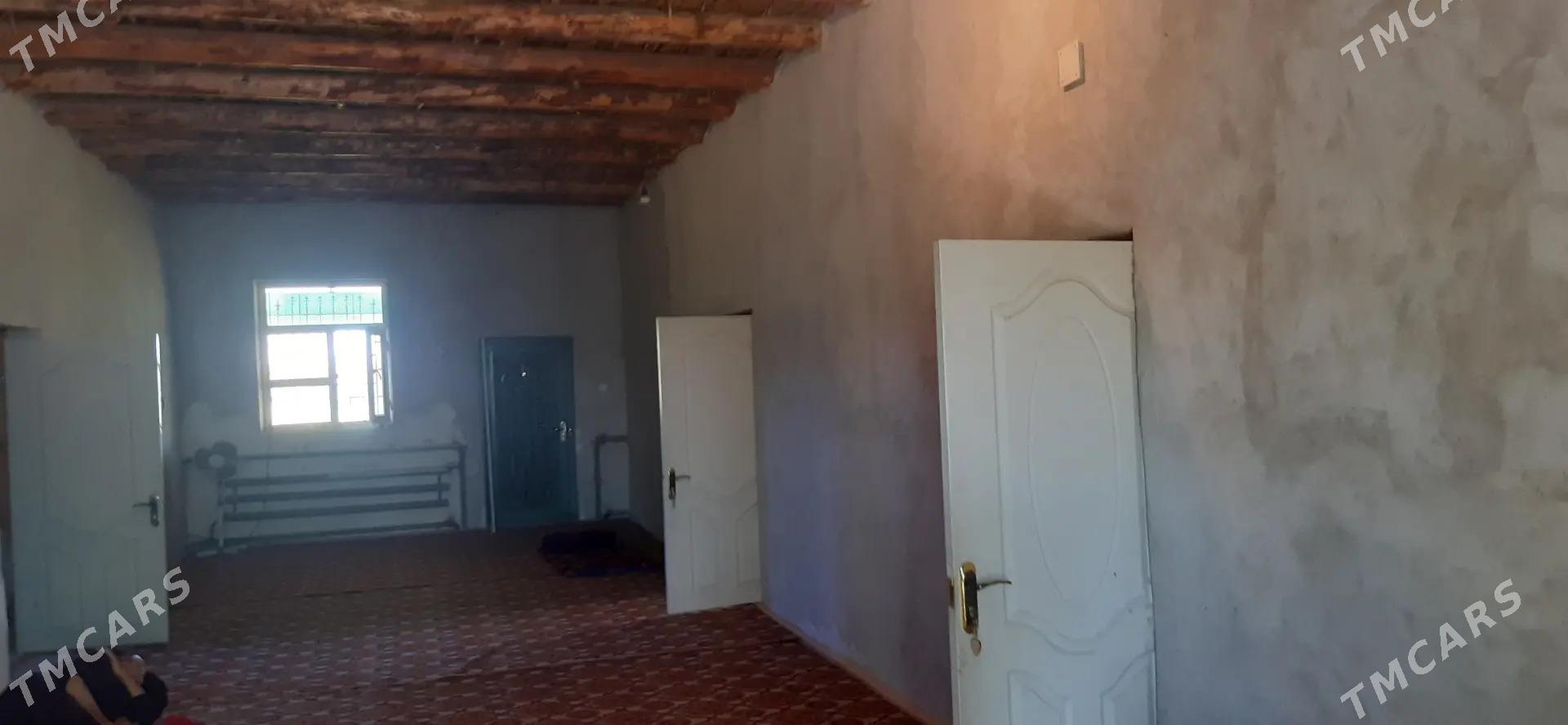 mellek uçaska - Görogly (Tagta) - img 5