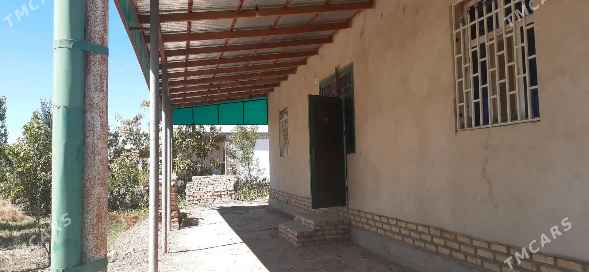 mellek uçaska - Görogly (Tagta) - img 7