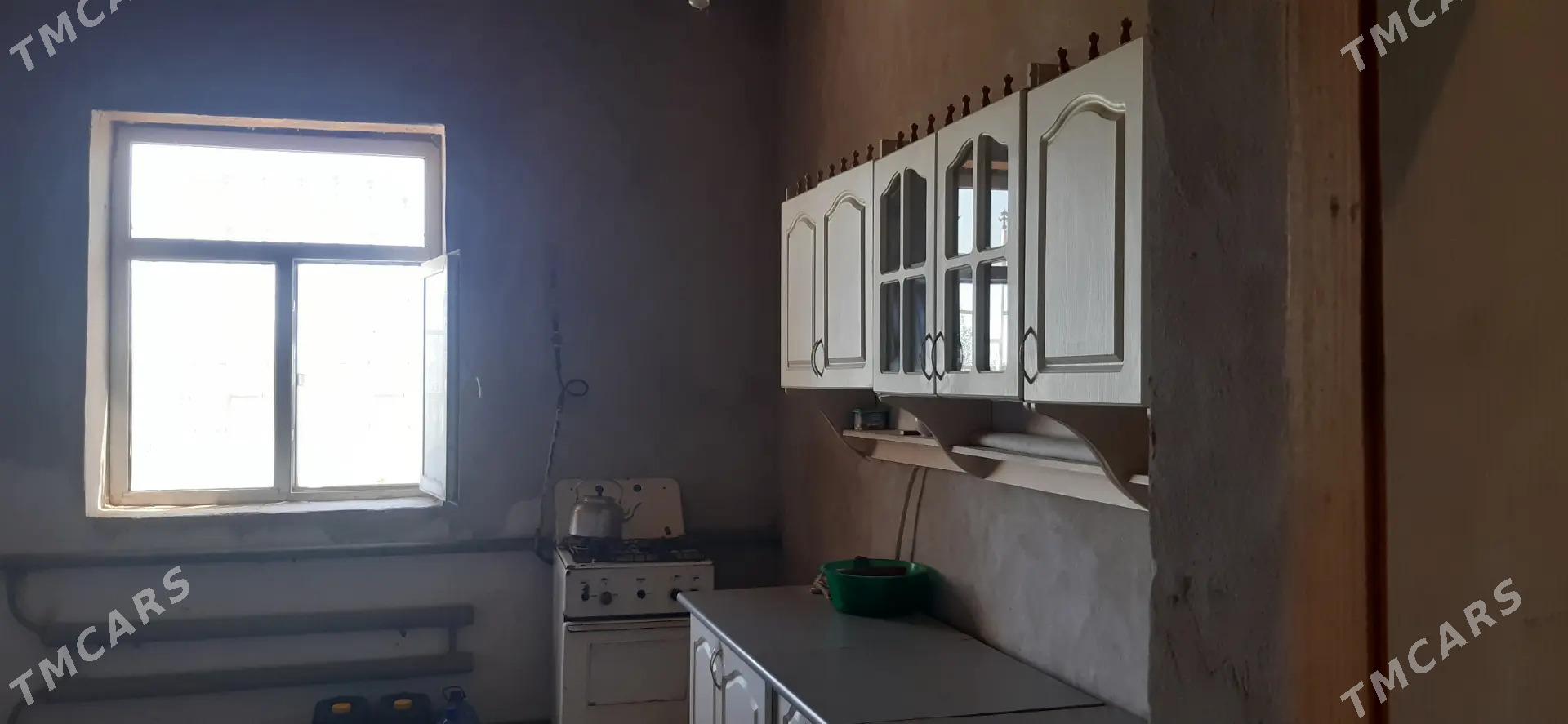 mellek uçaska - Görogly (Tagta) - img 4