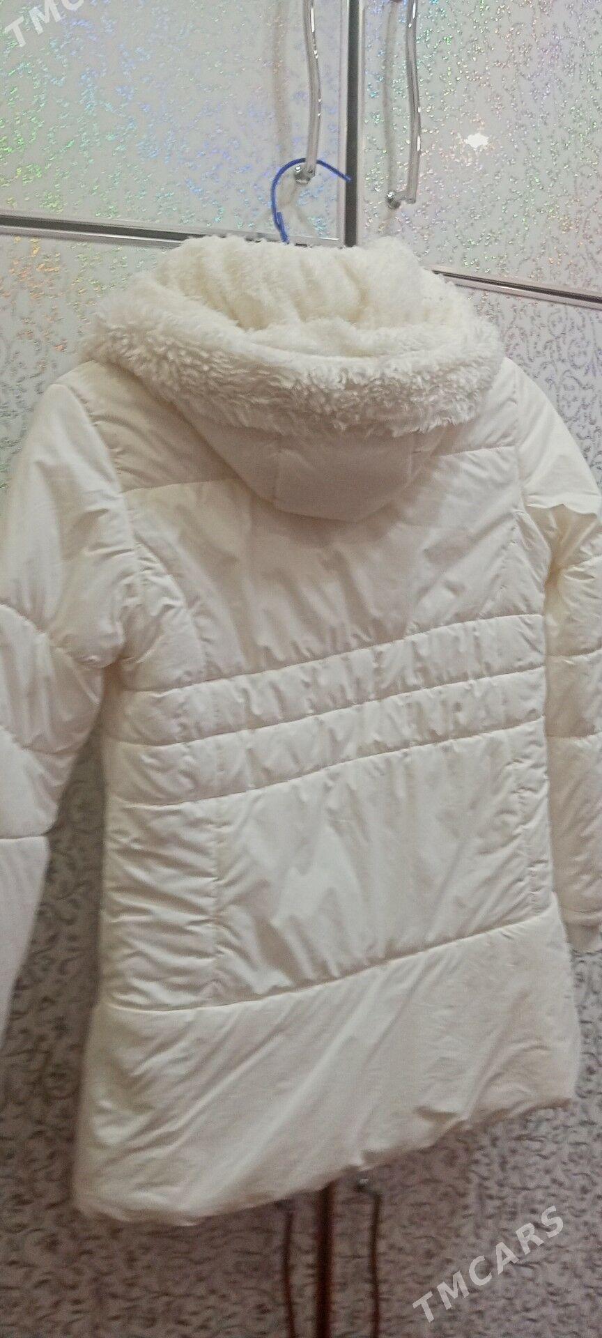 Тазе йыл куртгасы - Дашогуз - img 2