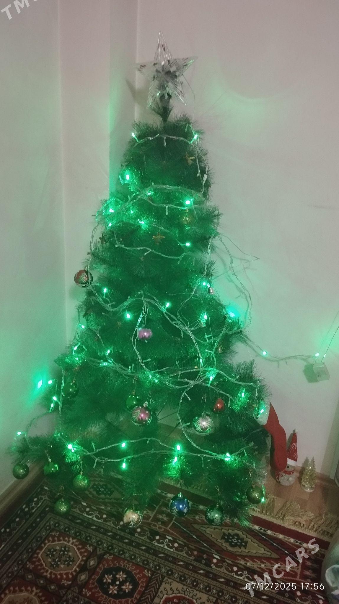 yolka - Ашхабад - img 1