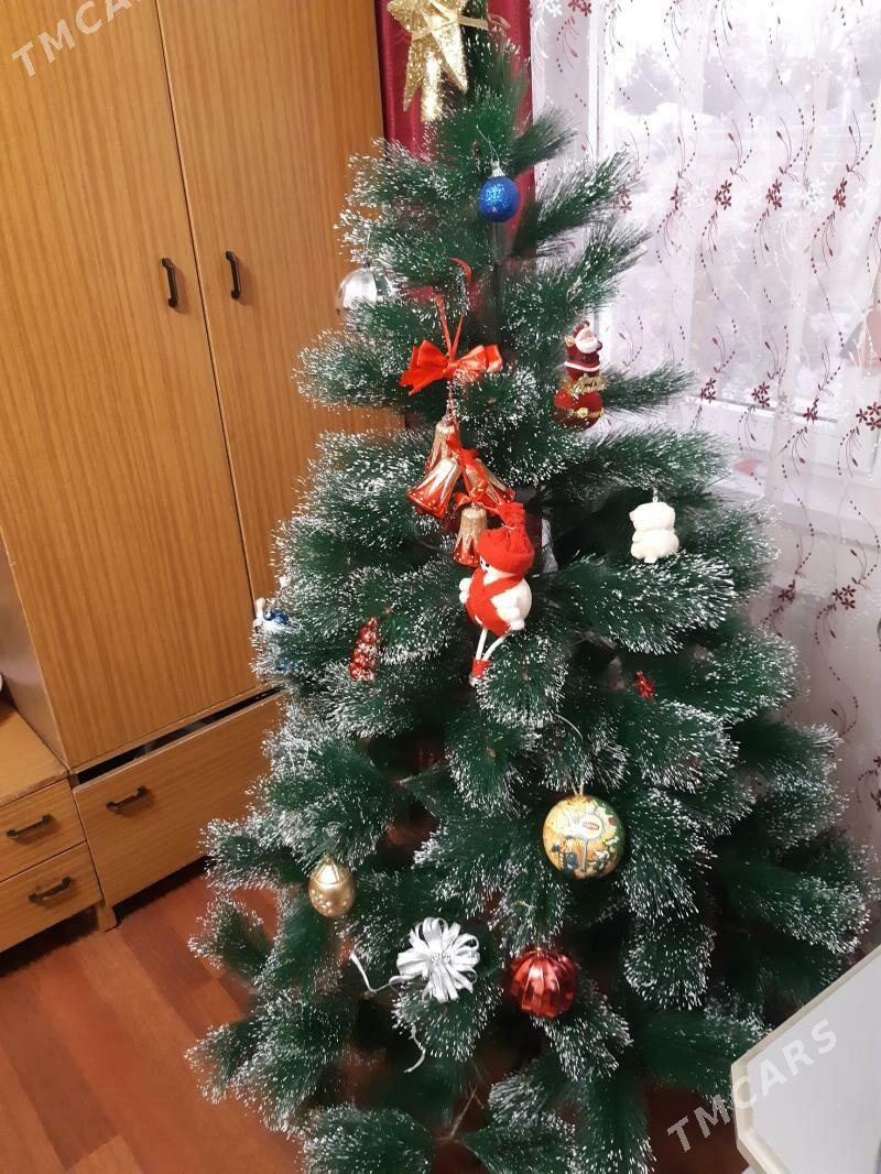 ёлка - Ашхабад - img 8