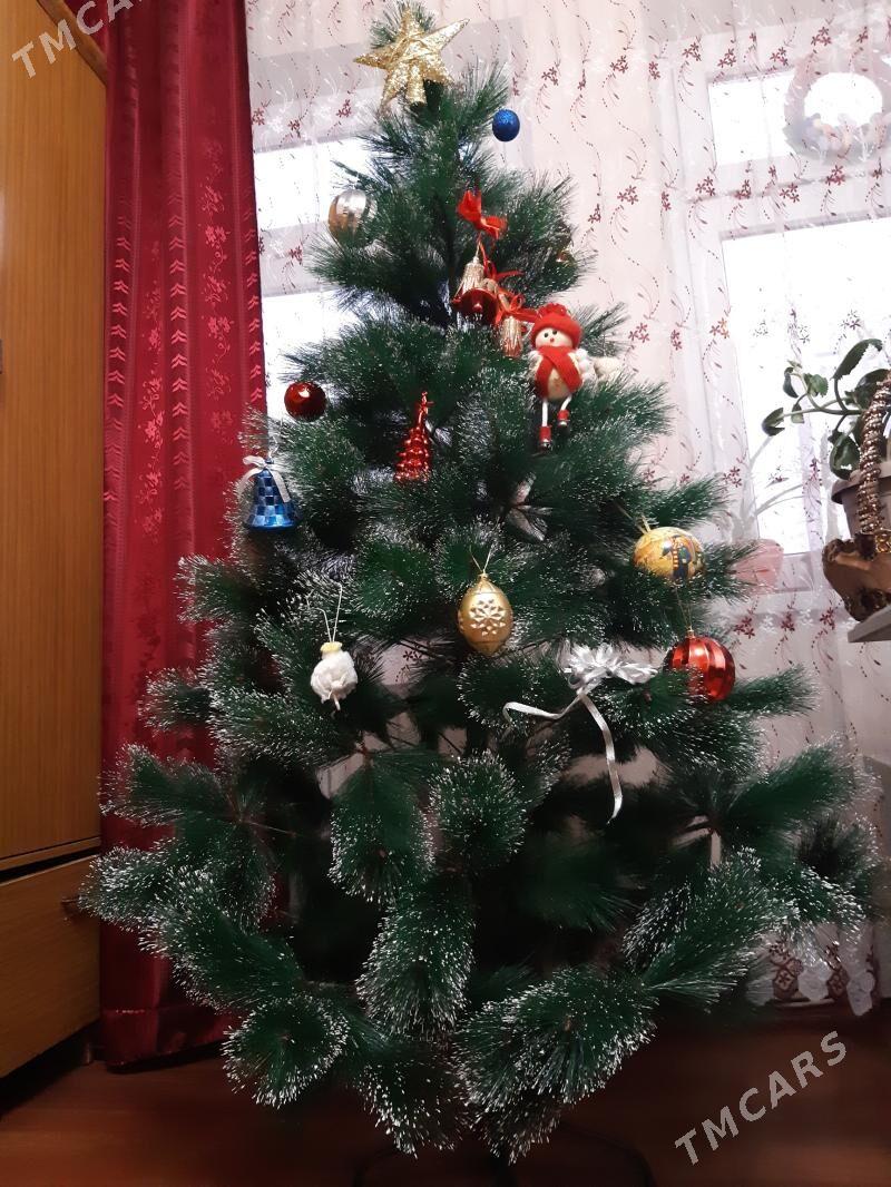 ёлка - Ашхабад - img 6
