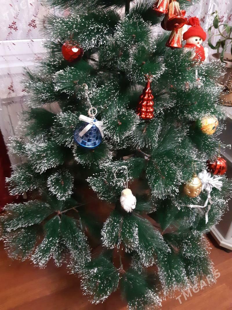 ёлка - Ашхабад - img 4