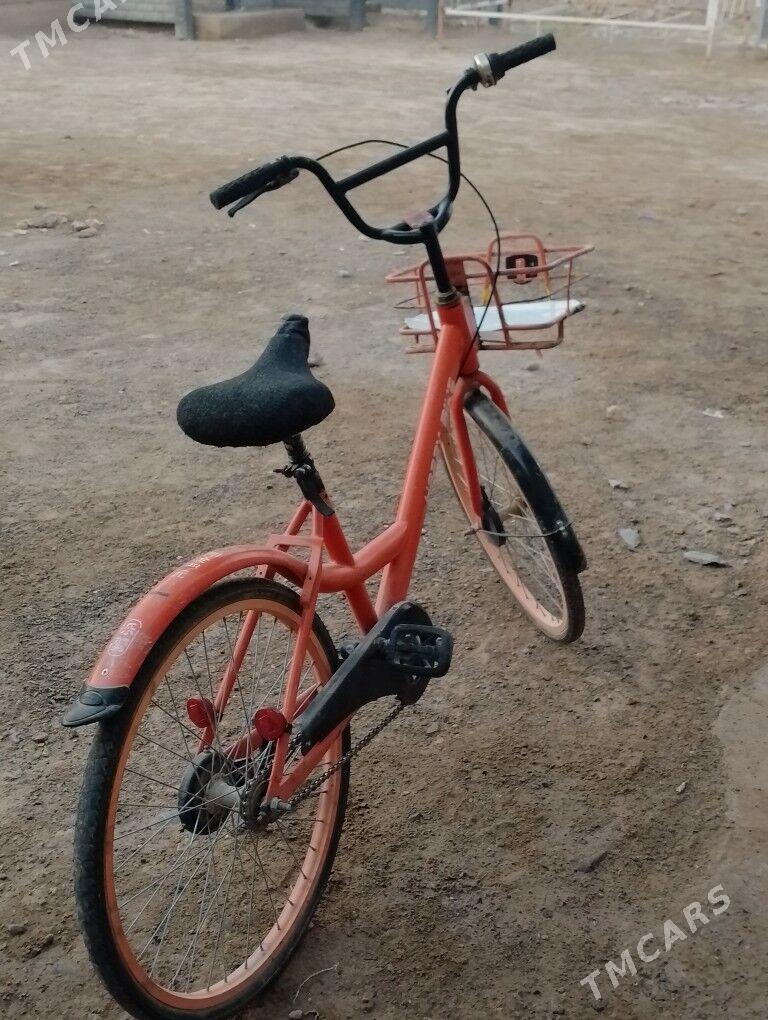 япошка - Сакарчага - img 1