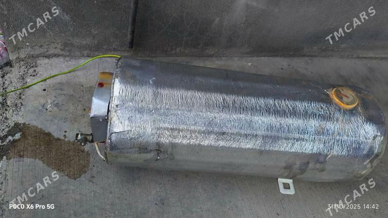 yaşama boýer - Büzmeýin - img 2