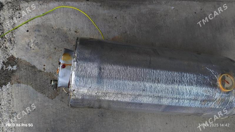 yaşama boýer - Büzmeýin - img 1