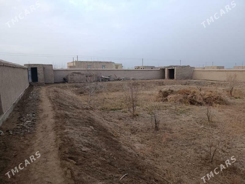 satlyk jay - Türkmenbaşy etr. - img 9