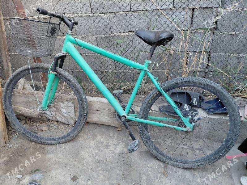 tigir - Кëши - img 1