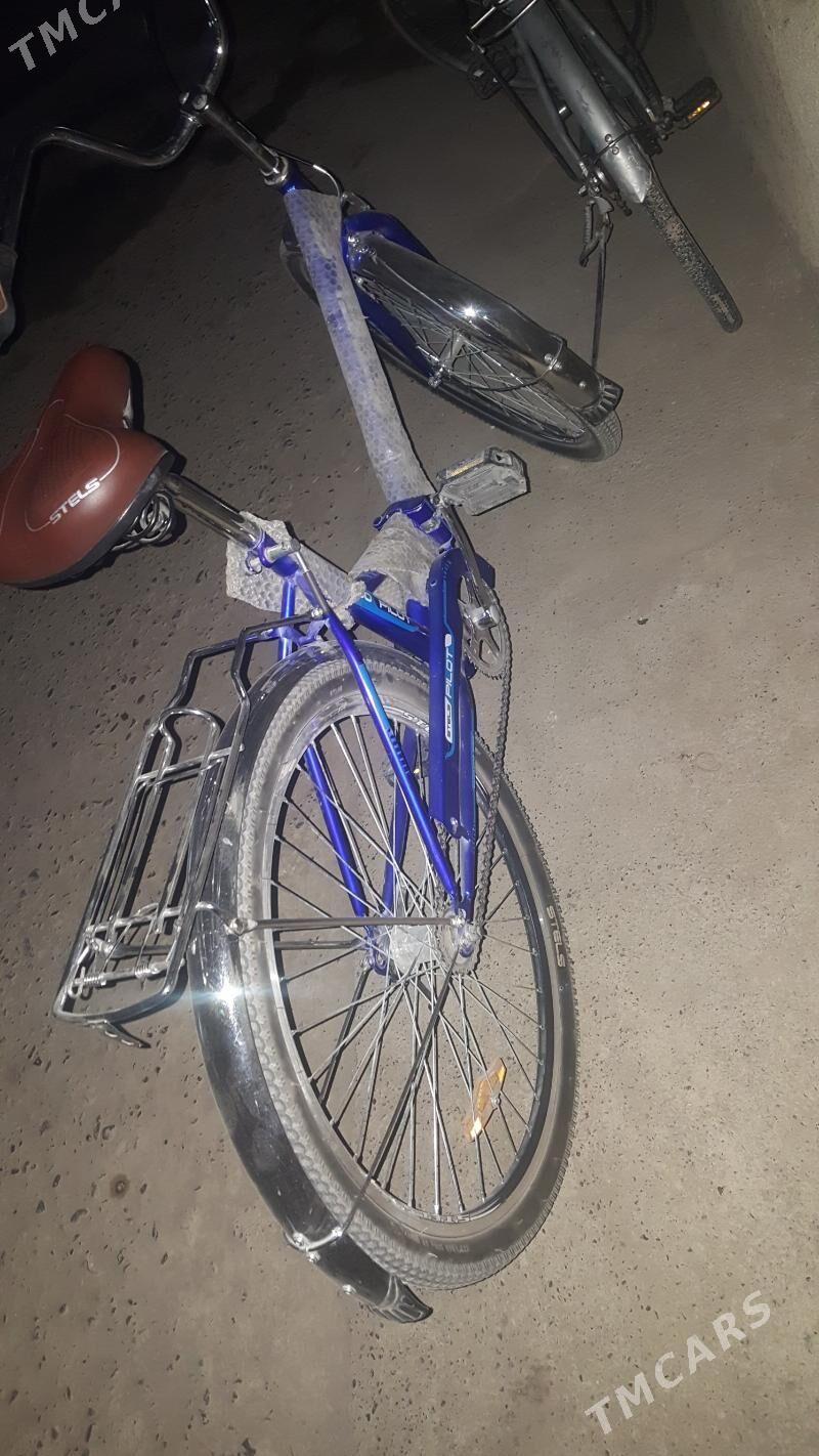 Stels tigir - Анев - img 4