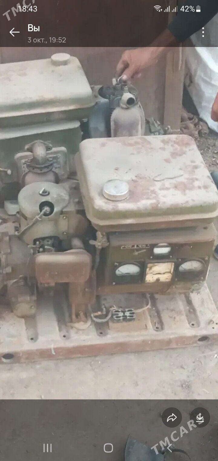 diwižok - Mary - img 1