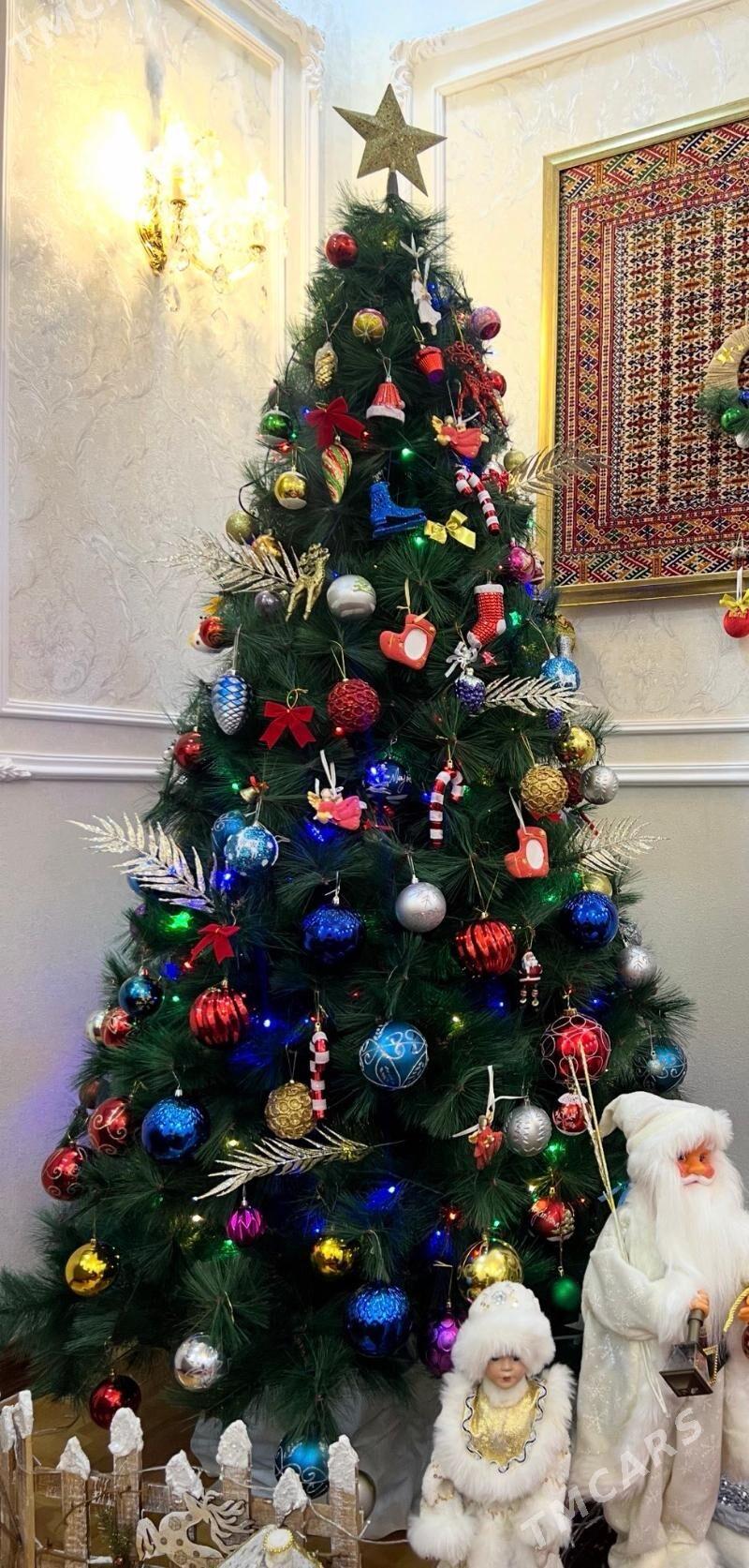 Yolka - Ашхабад - img 1