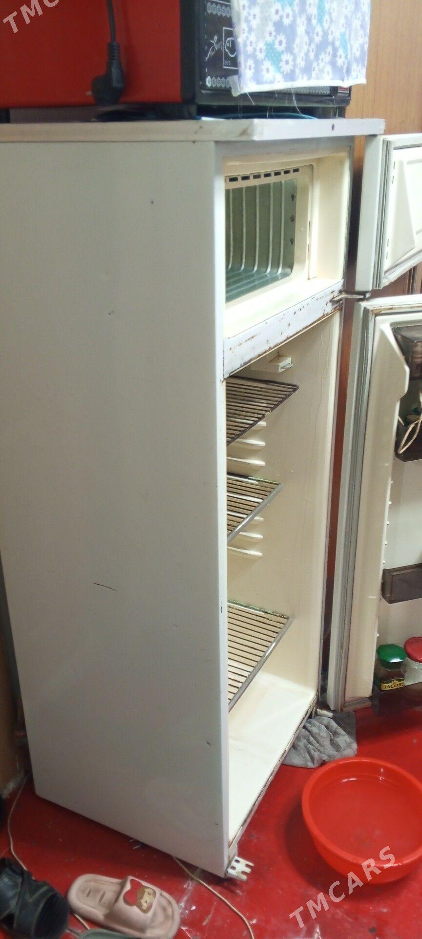 Bryusa orsuñ haladinligi - Hitrowka - img 3