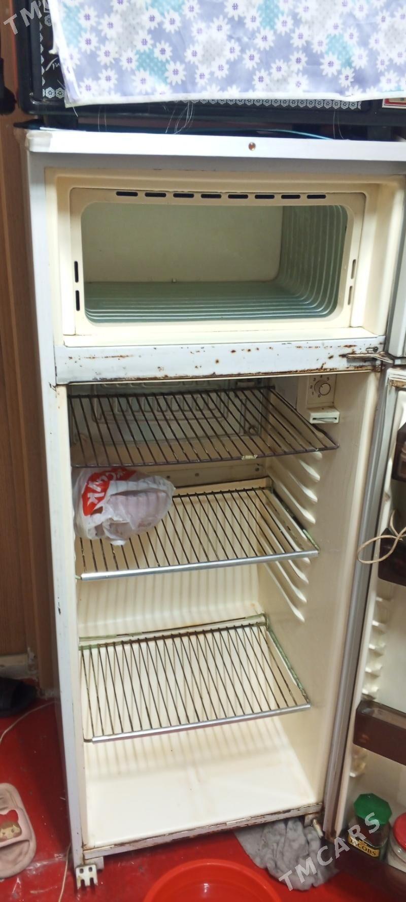 Bryusa orsuñ haladinligi - Hitrowka - img 2