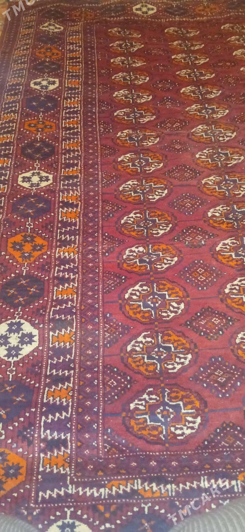 haly - Бузмеин - img 1