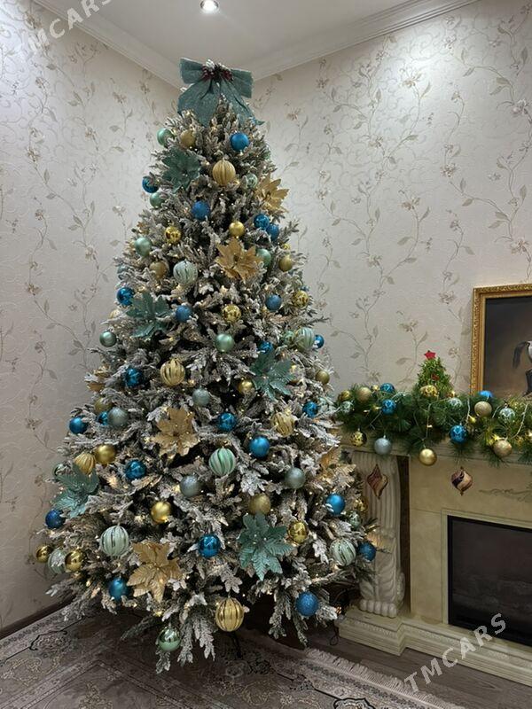 Taze yyl yolka - Ашхабад - img 1