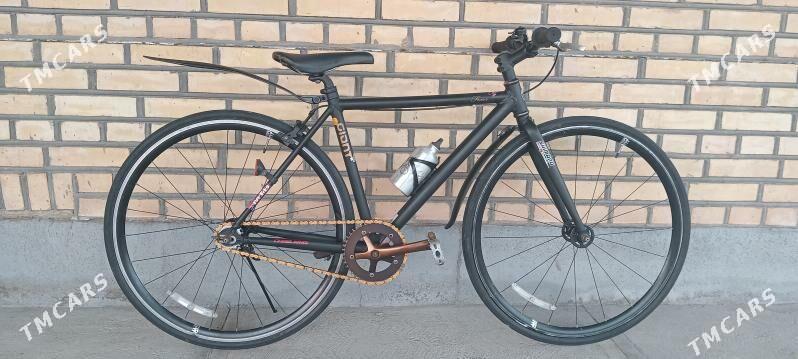 Tigir Arginal welsapet - Baýramaly - img 1