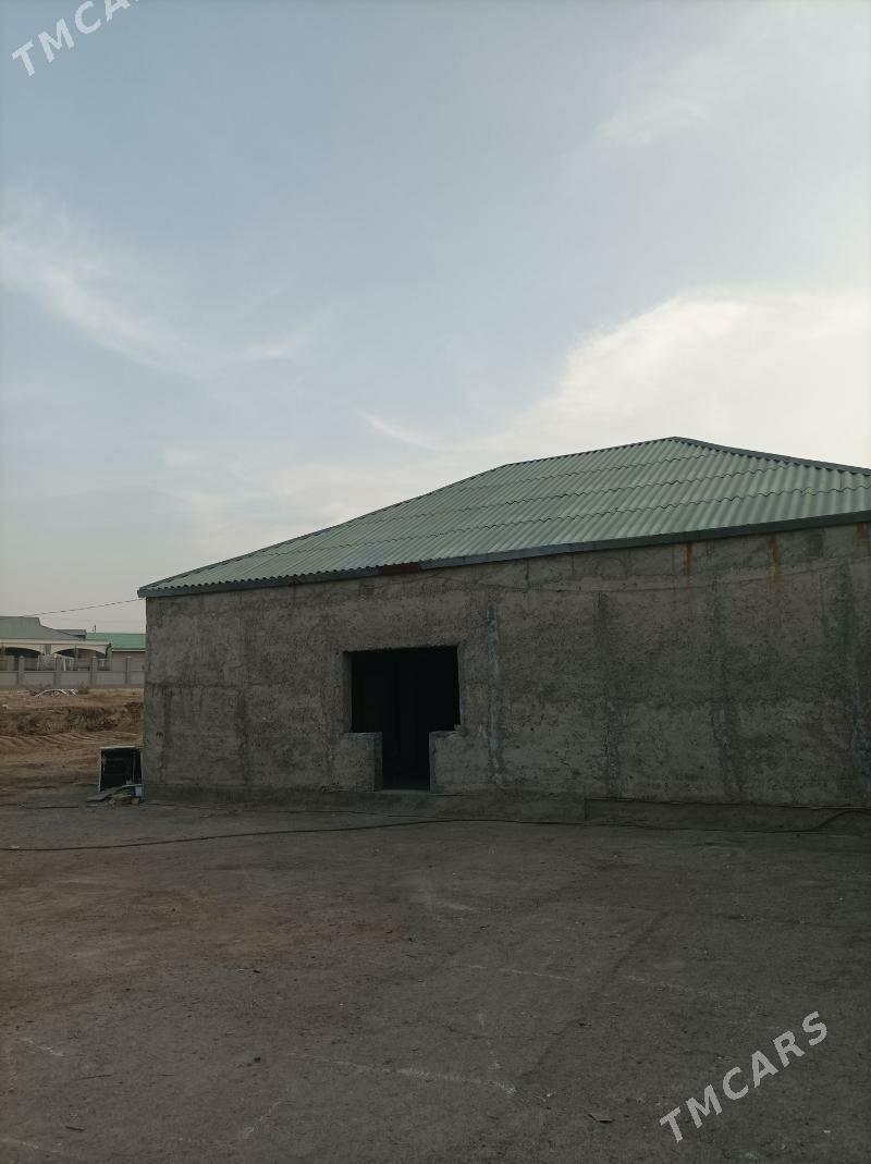 Howly Garadamak - Ашхабад - img 1