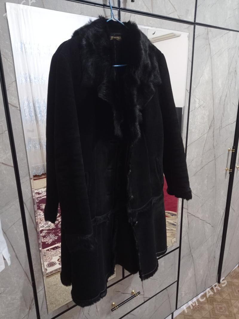 Palto - Daşoguz - img 1