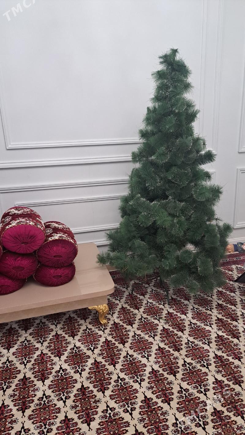 Yolka - Дашогуз - img 1