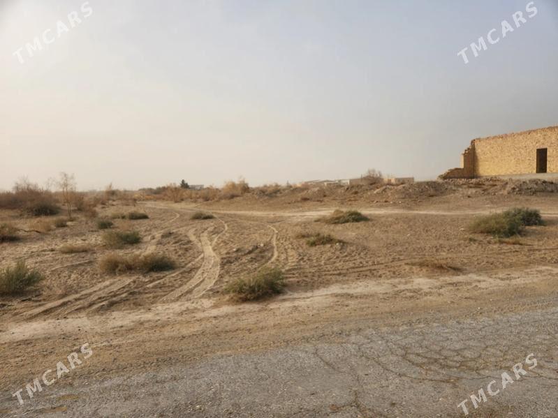 mellek - Туркменабат - img 2