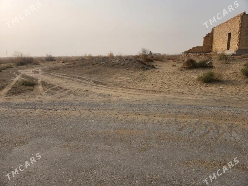 mellek - Туркменабат - img 3