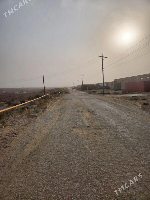 mellek - Туркменабат - img 6