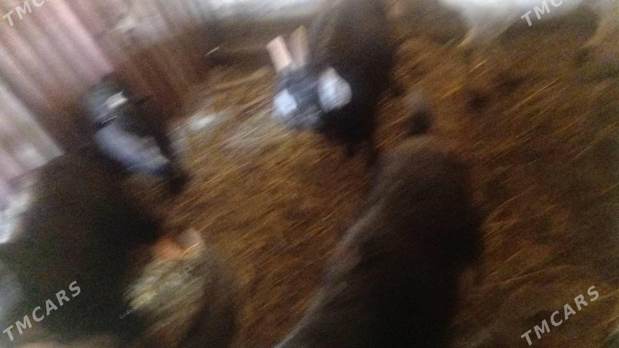 гечилер 6 саны - Çärjew - img 3