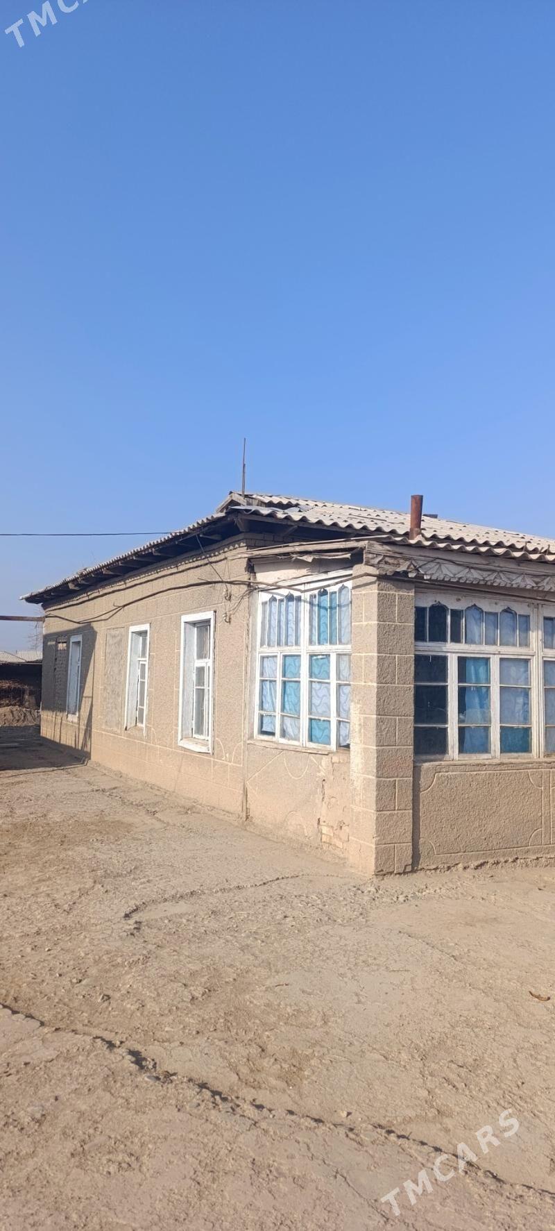 agag satlk - Ёлётен - img 1