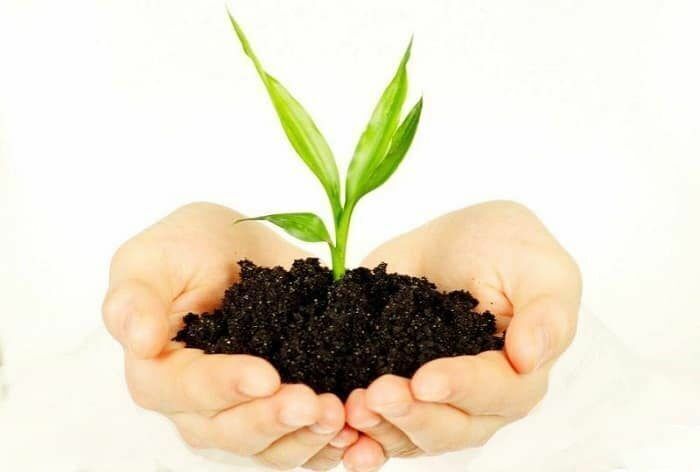 Biogumus - Kerki - img 1