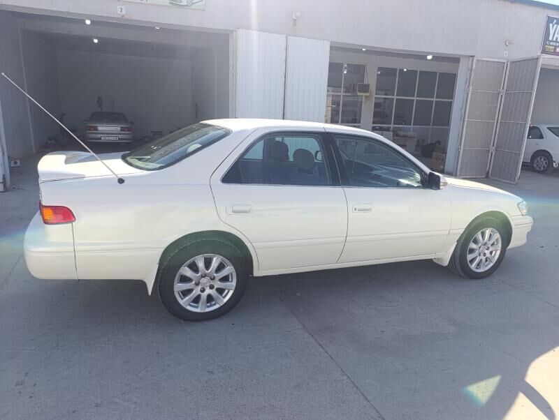 Diska 16 3 000 TMT - Tejen - img 2