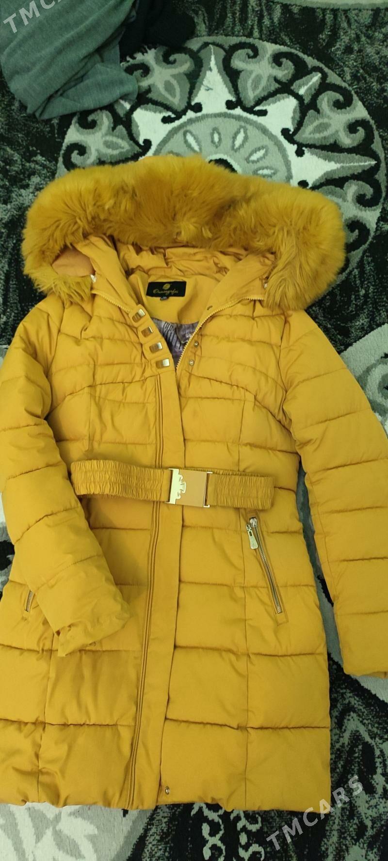 Kurtka - Daşoguz - img 1