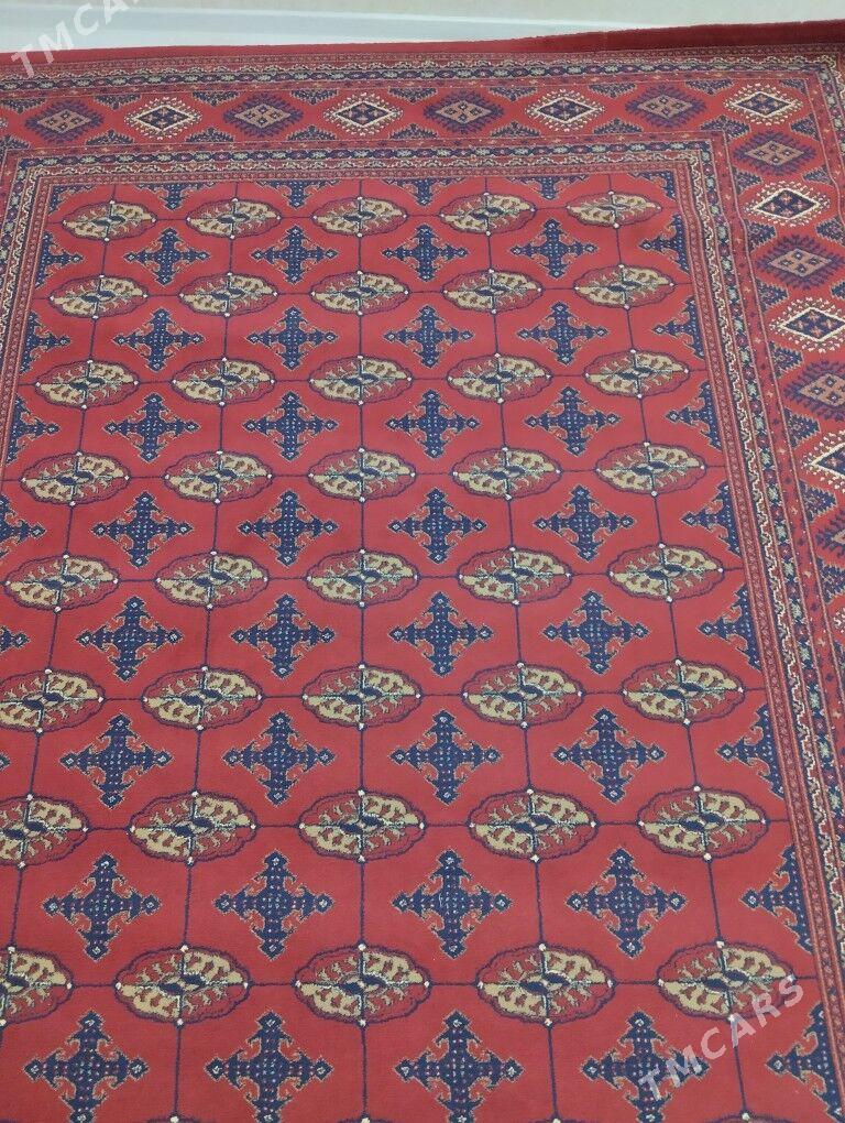 haly - Türkmenbaşy - img 1