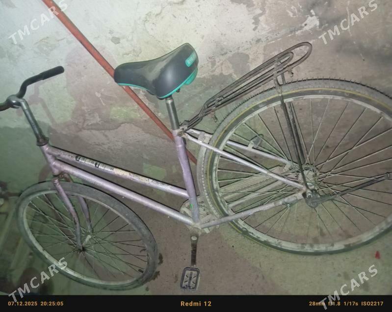 Tigir - Kaka - img 1