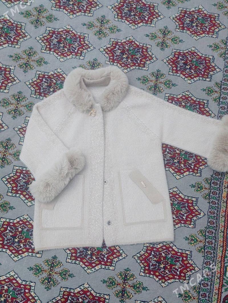 palto - Gurtly - img 1