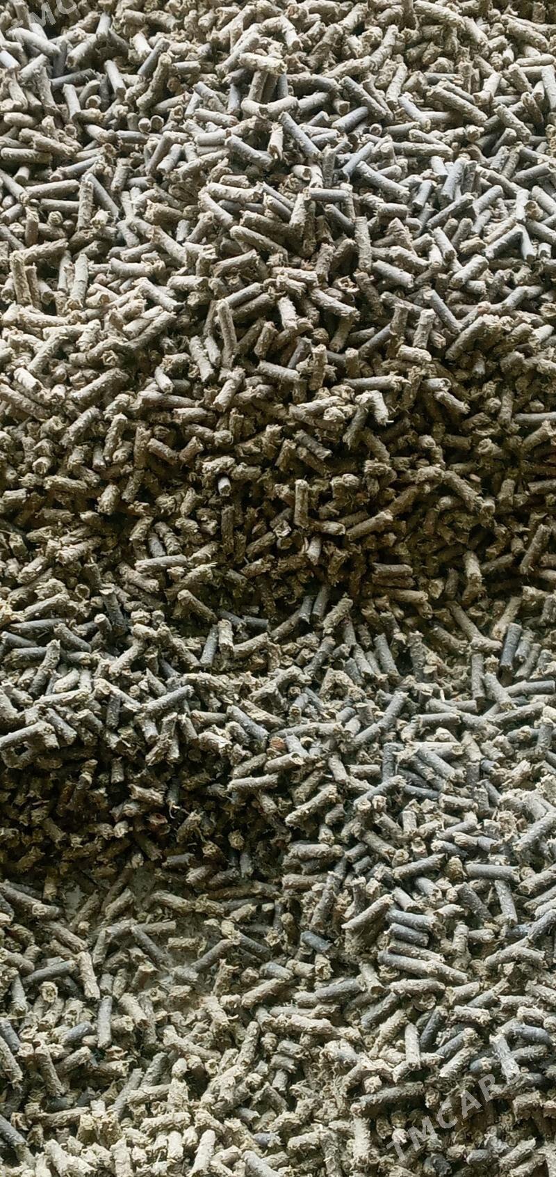 iým - Bäherden - img 2