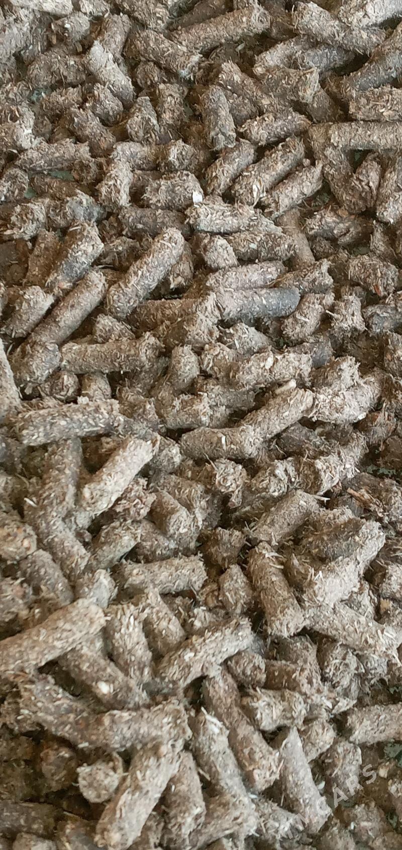 iým - Bäherden - img 5