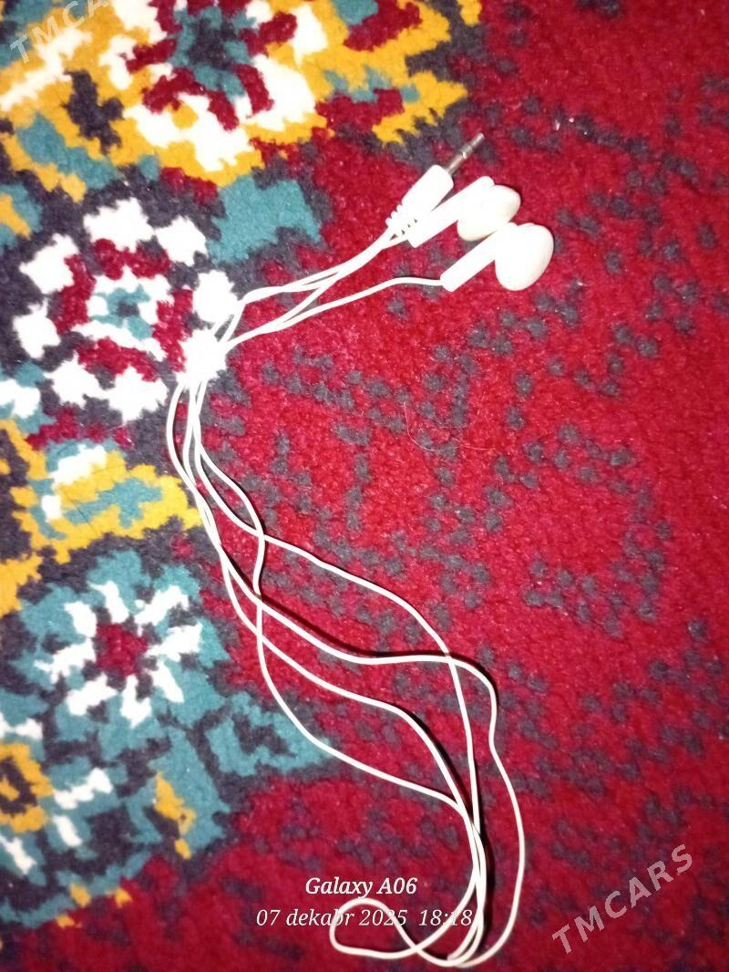 Nausnik - Gubadag - img 3