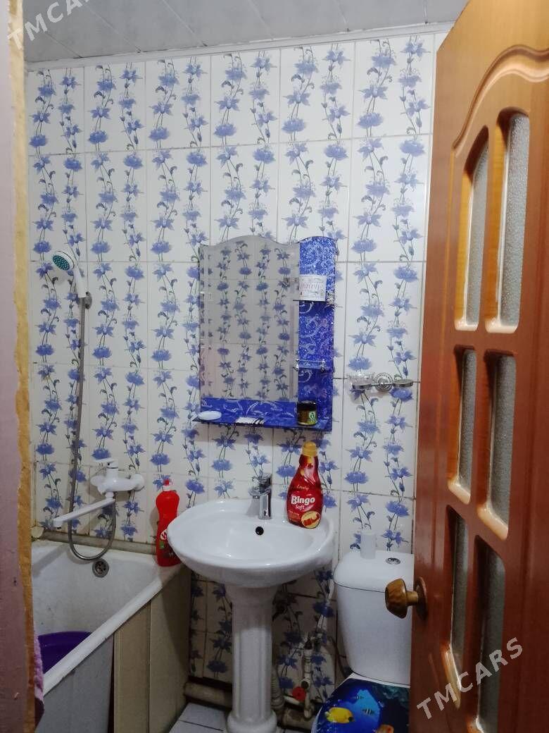 Satlyk jay - Mary - img 1