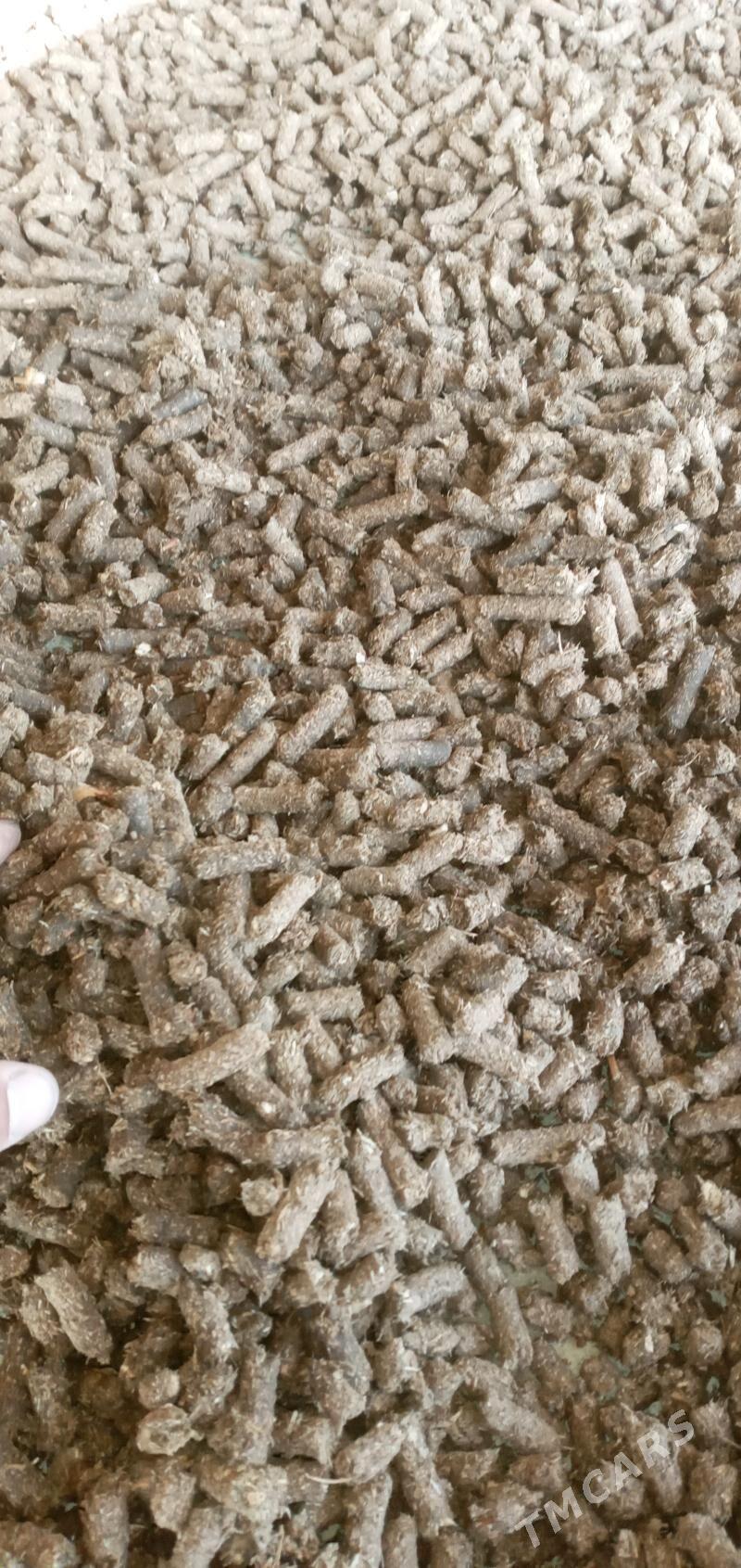 iým - Bäherden - img 4