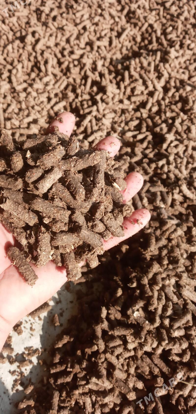 iým - Bäherden - img 3