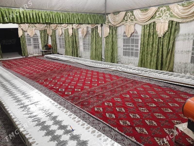 Gummez palatga - Ак-Бугдайский этрап - img 4