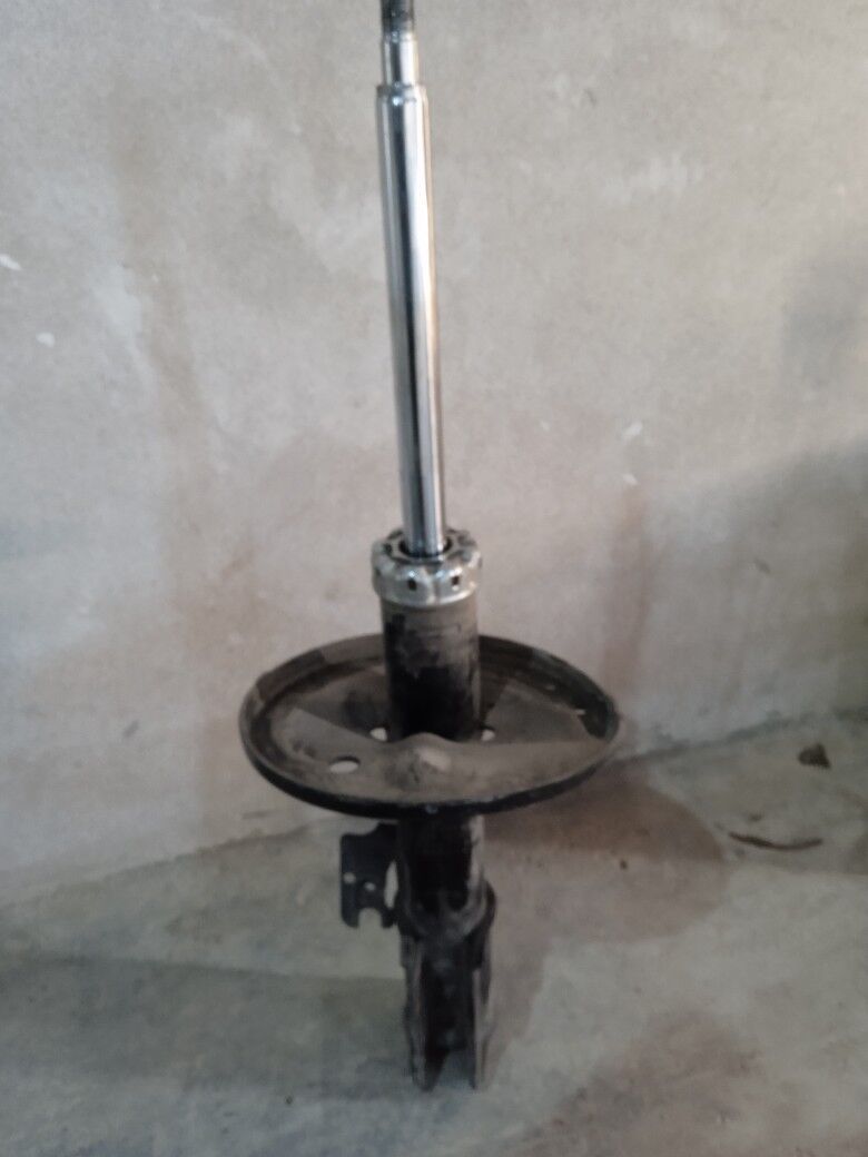 амортизатор 250 TMT - Сакар - img 1